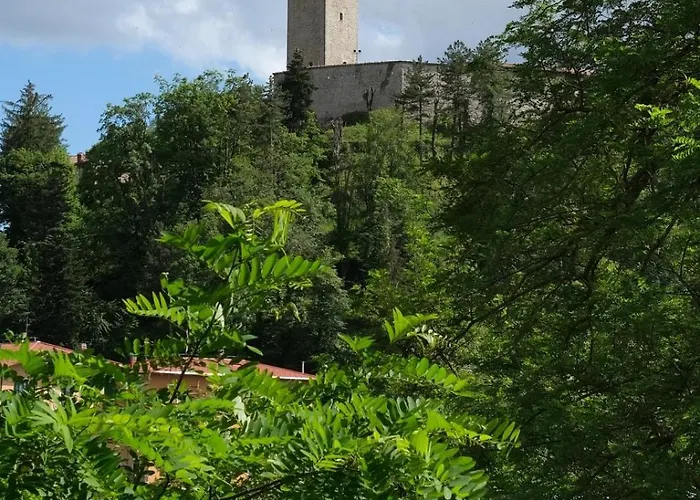 Apartament Torre Antica 1 *